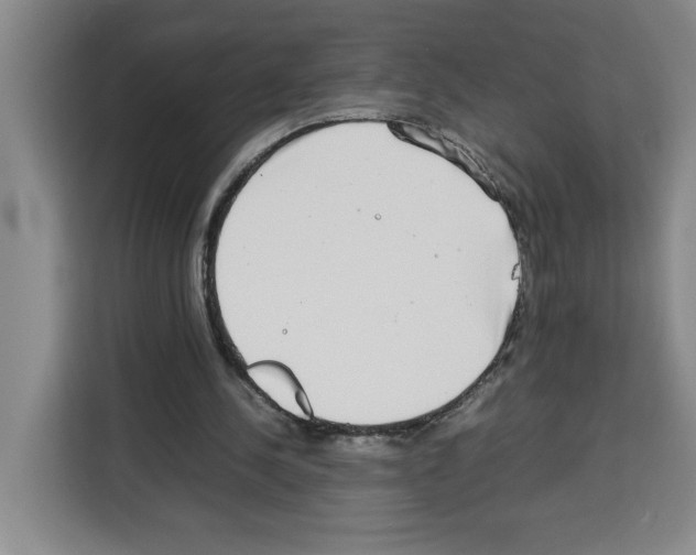X0000113260244200910221045