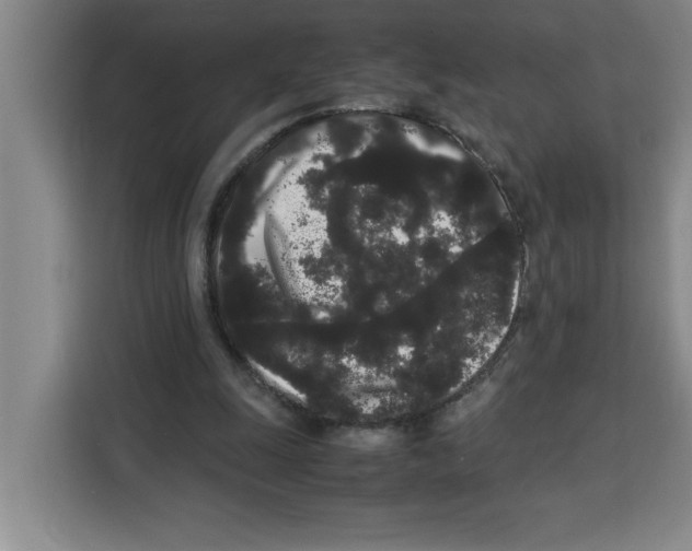 X0000113260247200910221045