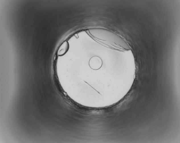 X0000113260248200910221045