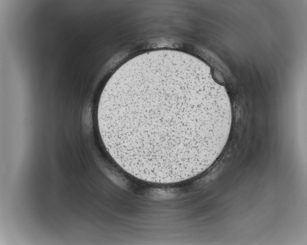 X0000113260250200910221045