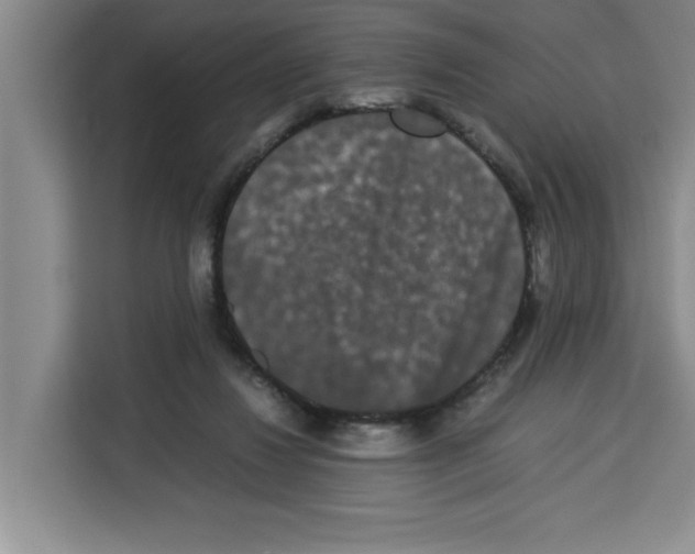 X0000113260260200910221045