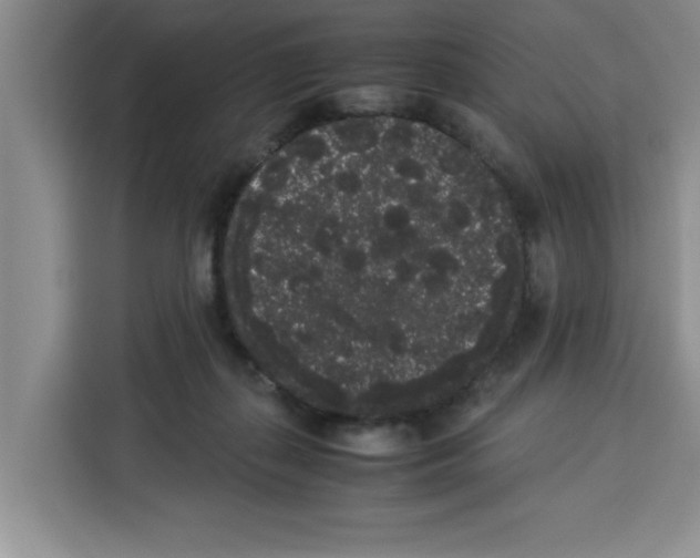 X0000113260267200910221045