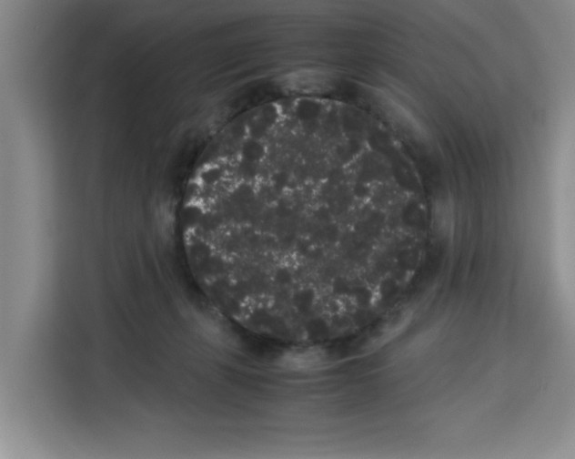 X0000113260271200910221045