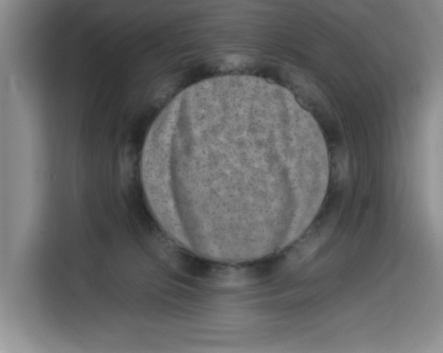 X0000113260276200910221045