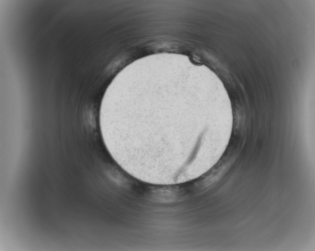 X0000113260282200910221045