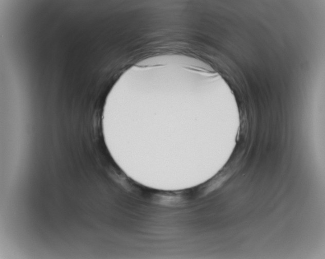 X0000113260284200910221045