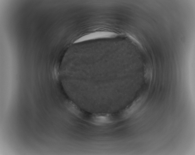 X0000113260285200910221045