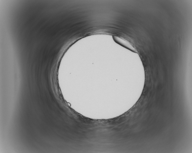 X0000113260289200910221045