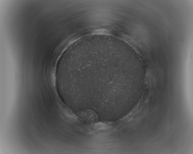 X0000113260290200910221045