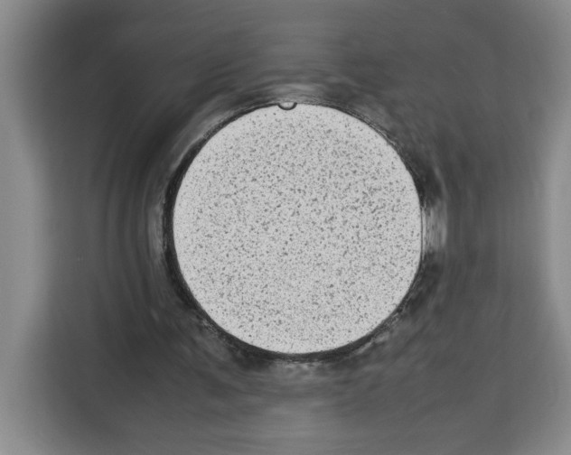 X0000113260291200910221044