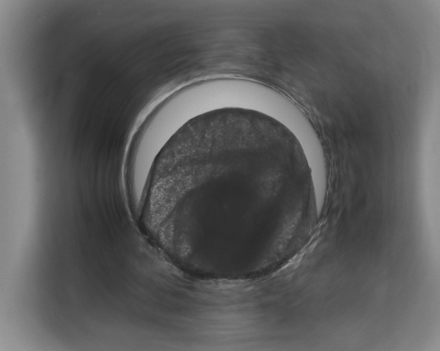 X0000113260292200910221044