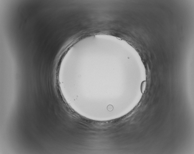 X0000113260293200910221044