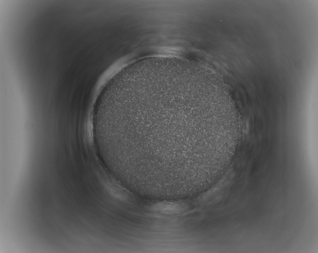 X0000113260294200910221044