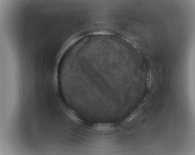 X0000113260296200910221044