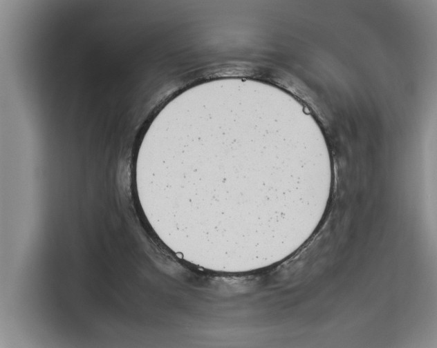 X0000113260297200910221044