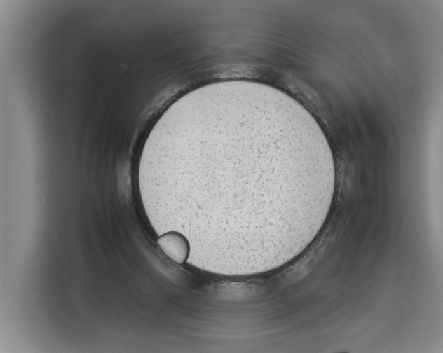 X0000113260298200910221044