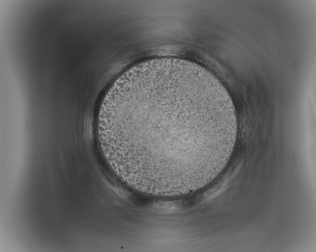 X0000113260299200910221044
