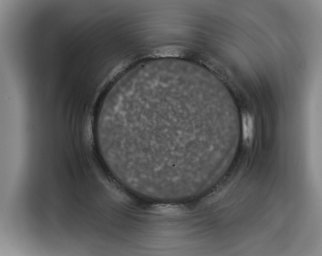 X0000113260300200910221044