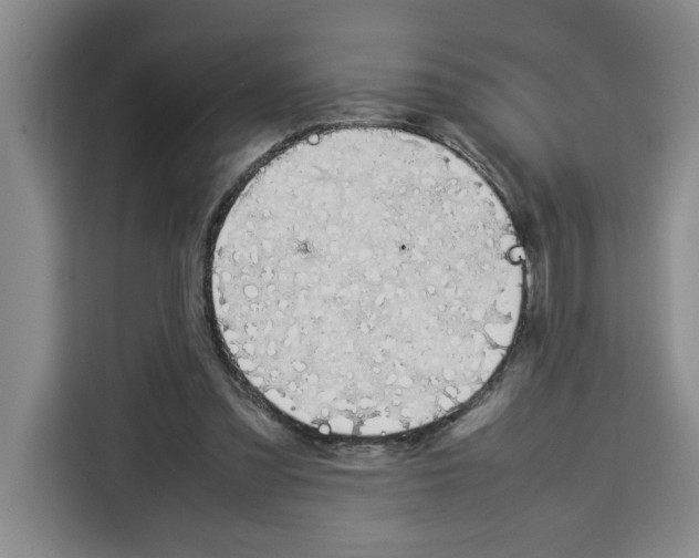 X0000113260301200910221044
