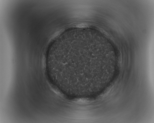 X0000113260303200910221044