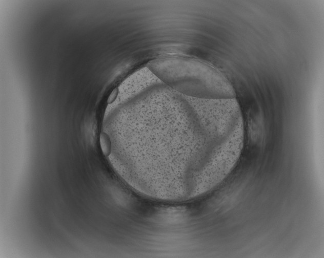 X0000113260304200910221044