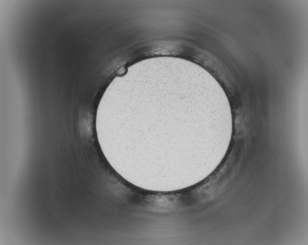 X0000113260305200910221044