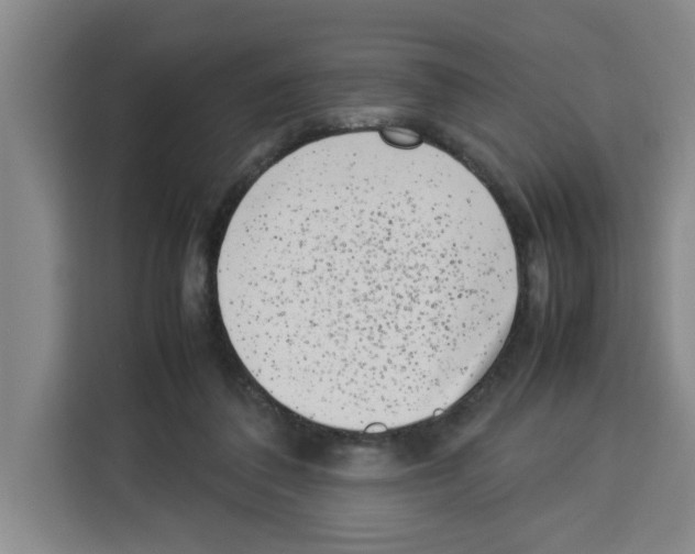 X0000113260308200910221044