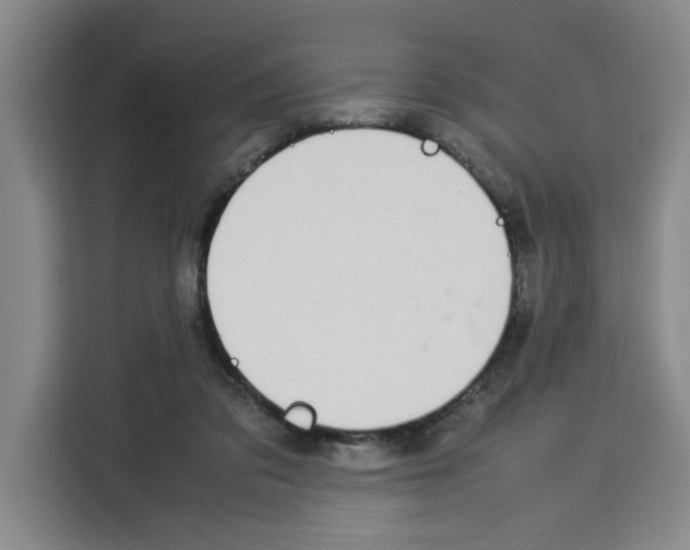 X0000113260309200910221044