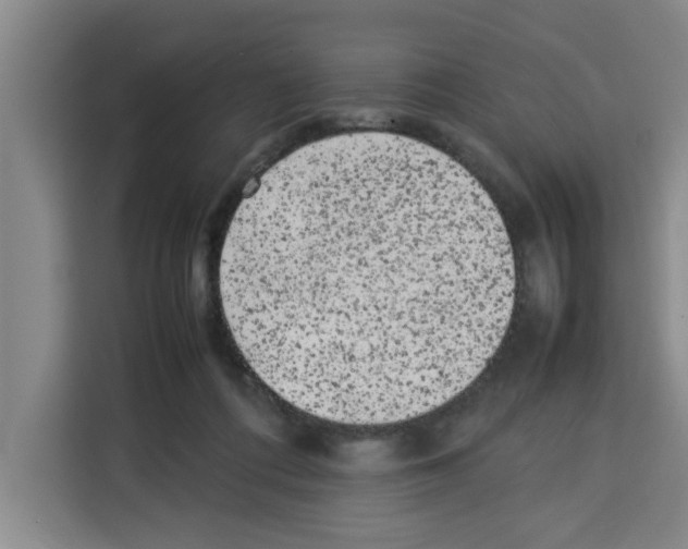 X0000113260312200910221044