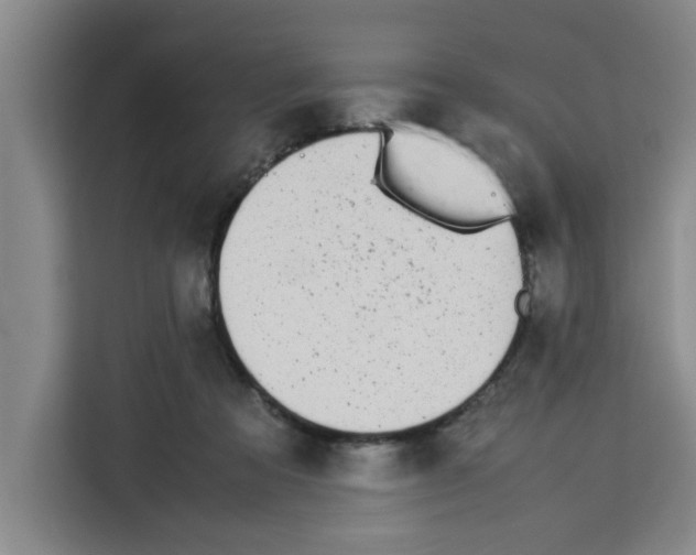 X0000113260313200910221044