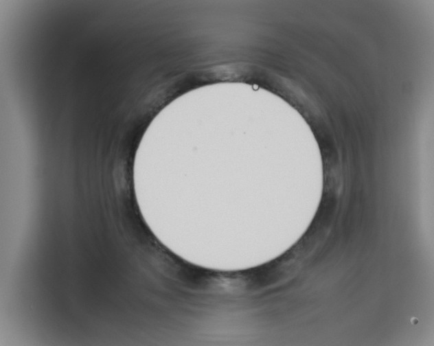 X0000113260317200910221044