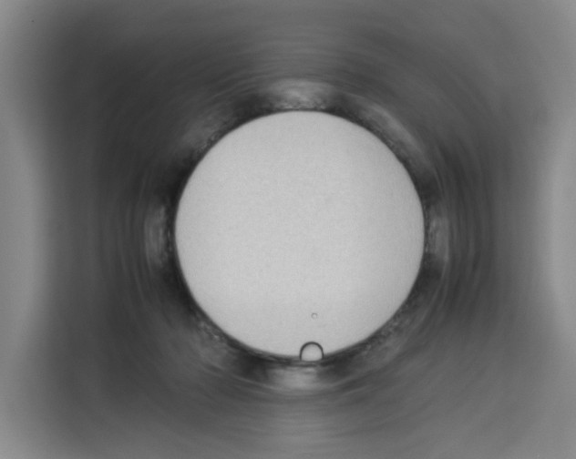 X0000113260318200910221044