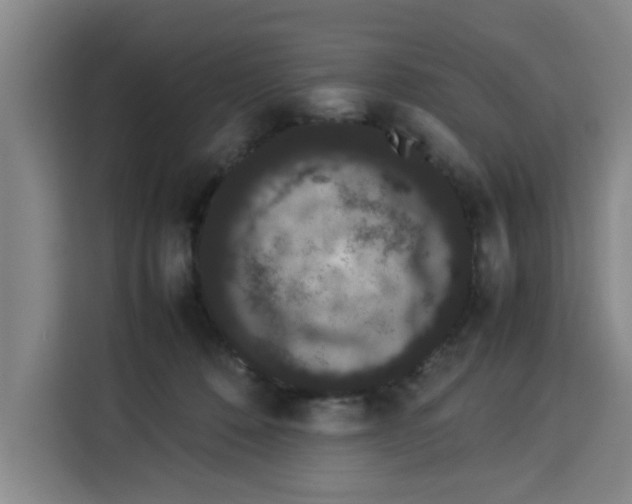 X0000113260320200910221044