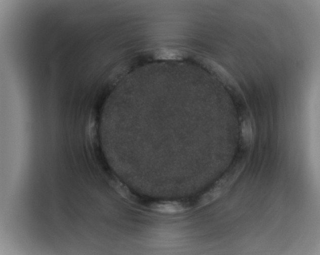 X0000113260322200910221044
