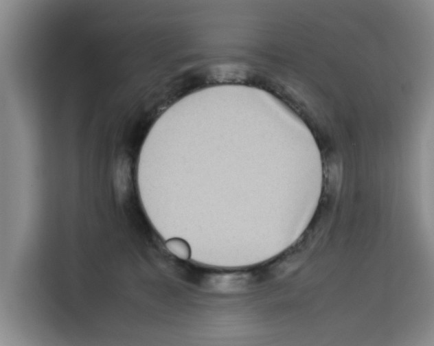 X0000113260323200910221044