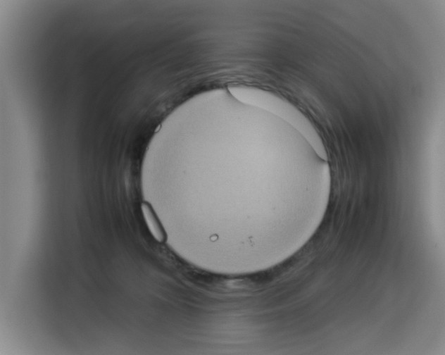 X0000113260324200910221044