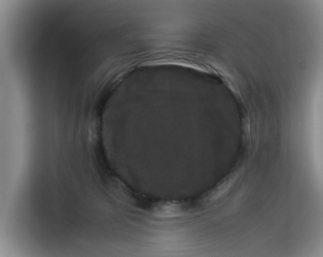 X0000113260325200910221044