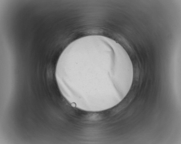 X0000113260326200910221044