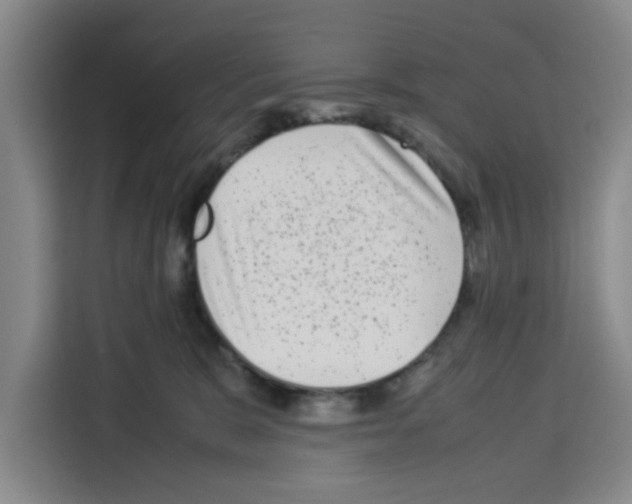 X0000113260327200910221044