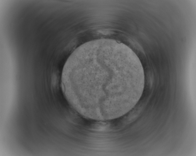 X0000113260328200910221044