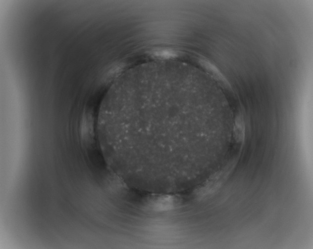 X0000113260330200910221044