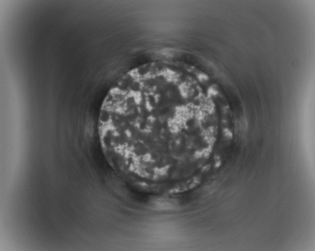 X0000113260331200910221044
