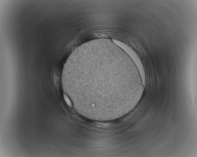 X0000113260332200910221044