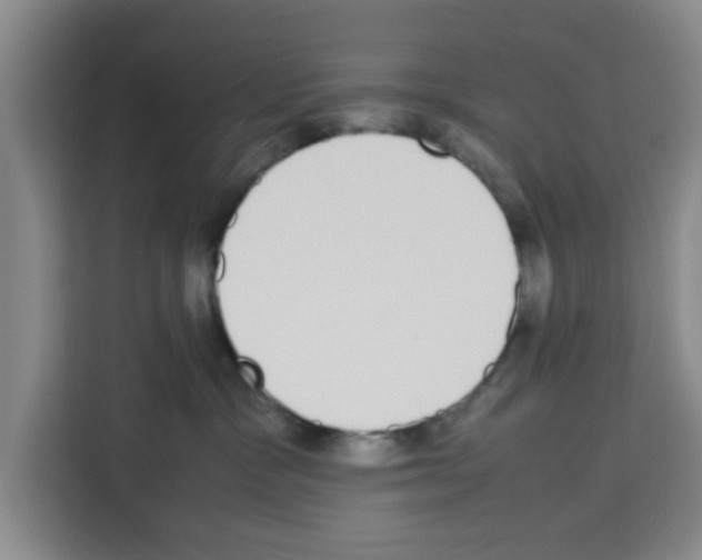 X0000113260333200910221044