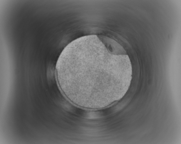 X0000113260336200910221044