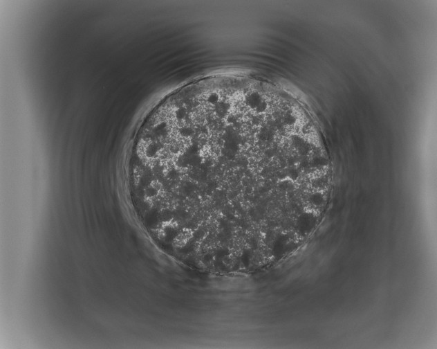 X0000113260337200910221043