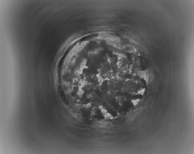 X0000113260339200910221043