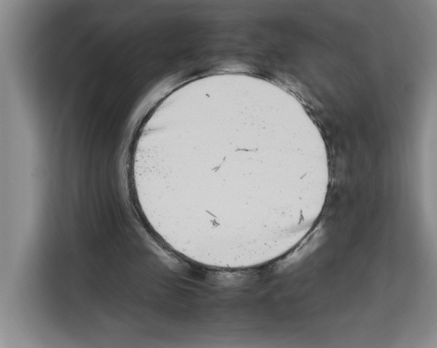 X0000113260341200910221043