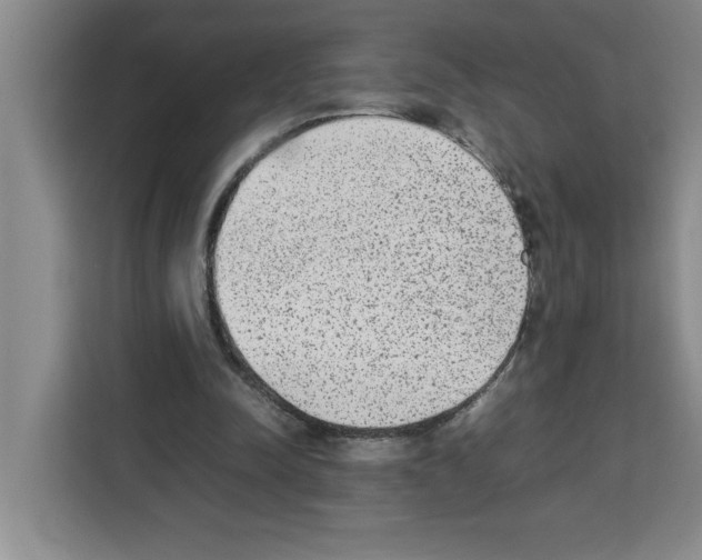 X0000113260342200910221043