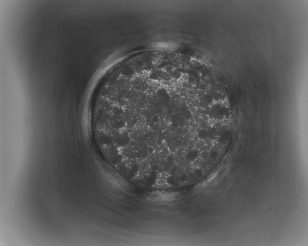 X0000113260343200910221043